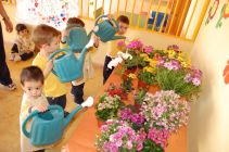 Aprendiendo a cuidar y respetar las plantas