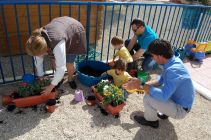 Todos a plantar flores en Primavera!