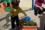Todos a plantar flores en Primavera! 145.JPG