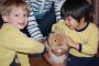 El conejito de la Escuela Infantil visita a l@s niñ@s 92.JPG